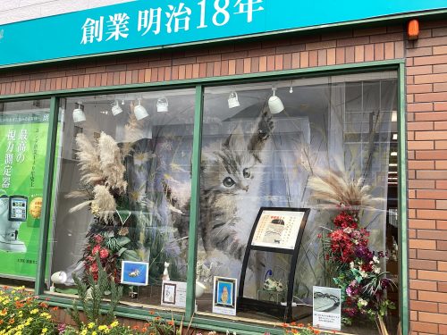 ネコのディスプレイ。